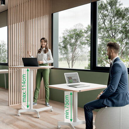 Leitz Ergo Small Sit Standing Desk - image 4