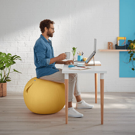 Leitz Ergo Cosy Active Sitting Ball - image 2