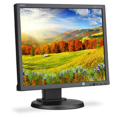 NEC EA193MI-BK computer monitor 48.3 cm (19