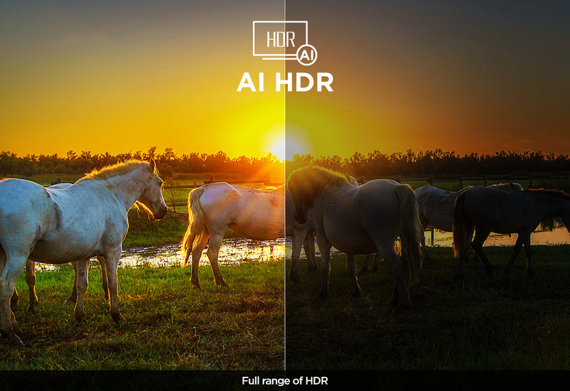 TCL X95 115X955K MAX