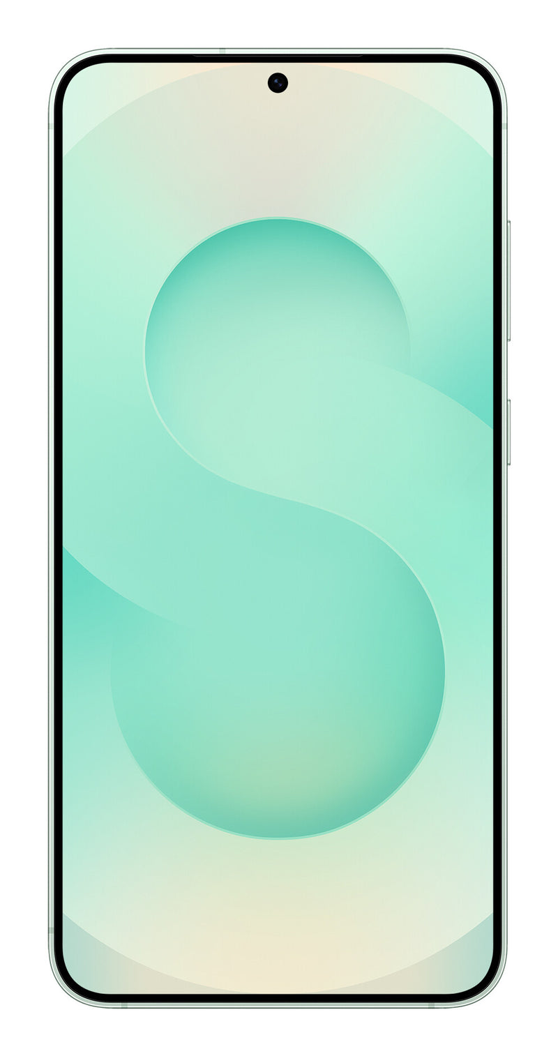 Samsung Galaxy S25+ 17 cm (6.7") Dual SIM Android 15 5G USB Type-C 12 GB 256 GB 4900 mAh Mint colour
