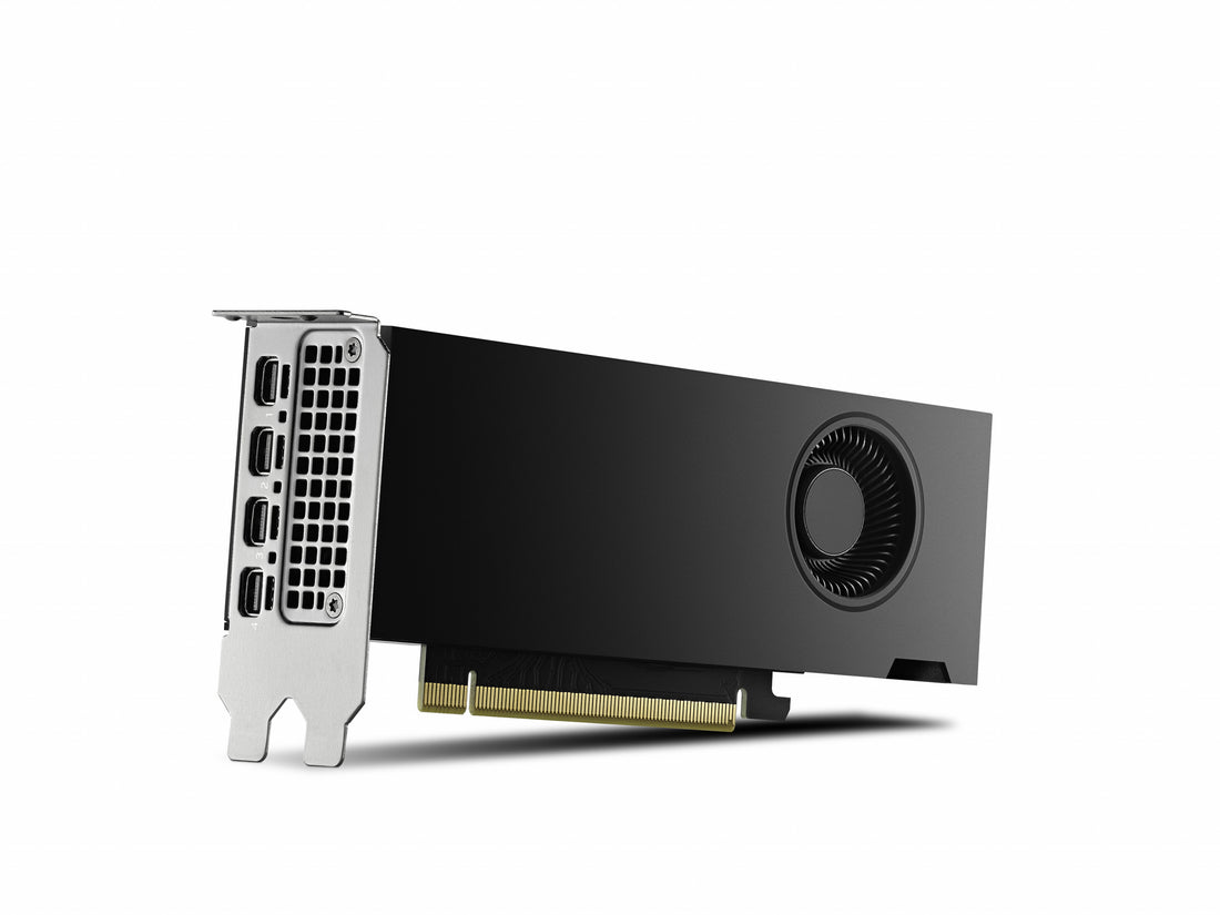 PNY RTX2000 Ada NVIDIA RTX 2000 Ada 16 GB GDDR6 - image 3