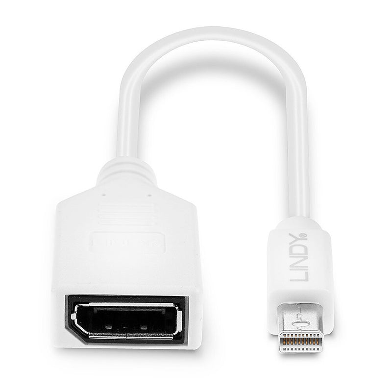 Lindy 0.20m Mini DisplayPort to DisplayPort Adapter Cable