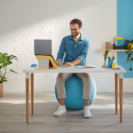 Leitz Ergo Cosy Active Sitting Ball - image 10