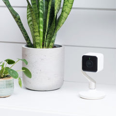 Hive View Box CCTV security camera Indoor 1920 x 1080 pixels Desk