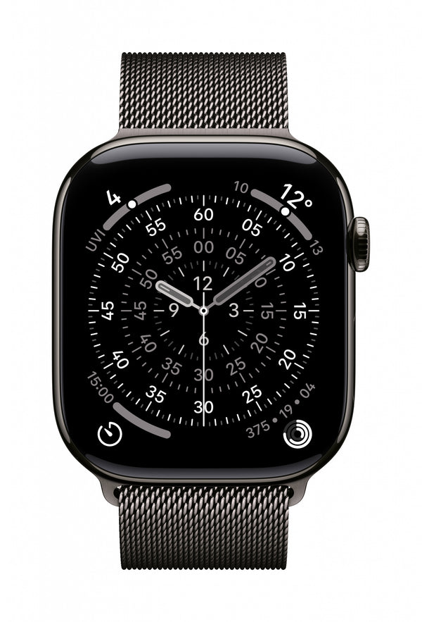 Apple MGJ64ZM/A smart wearable accessory Band Slate colour Stainless steel