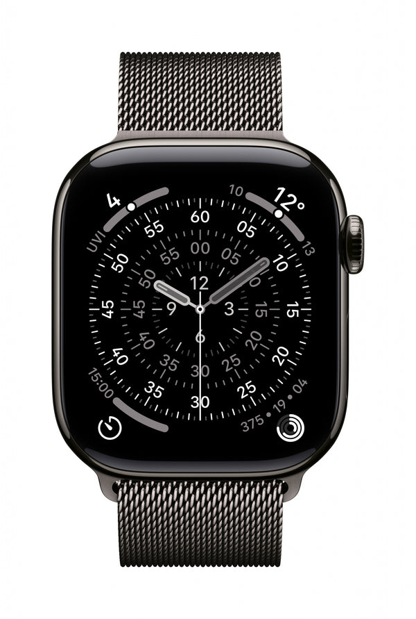 Apple MGJ14ZM/A smart wearable accessory Band Slate colour Stainless steel